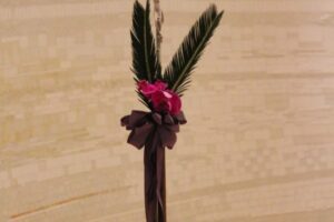 20250413 주님 수난 성지 주일