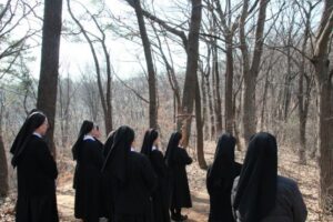 2024 사순시기 십자가의 길 이모저모