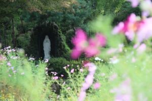 수지동산의 가을입니다.