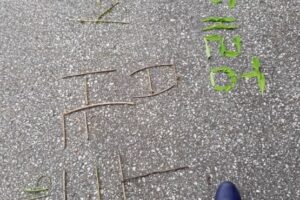 찬미받으소서~15.16~