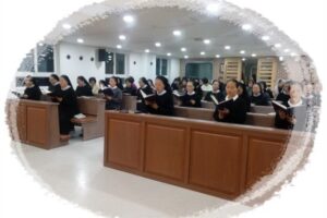 2019년 성탄을 축하드립니다