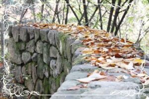 25주년 축하드립니다.