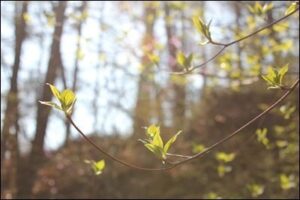 4월의 어느 멋진 봄날에...