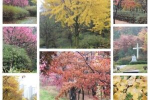 이보다 더 아름다운 곳이 있을까요 !!!