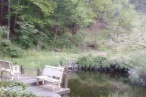 침묵의 아름다움